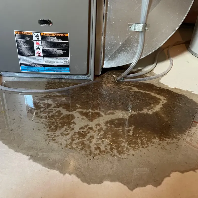 Appliance Leak Cleanup in South Monroe, MI