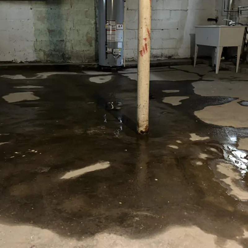 Emergency Water Extraction And Removal in South Monroe, MI